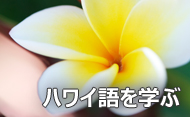 ハワイ語を学ぼう