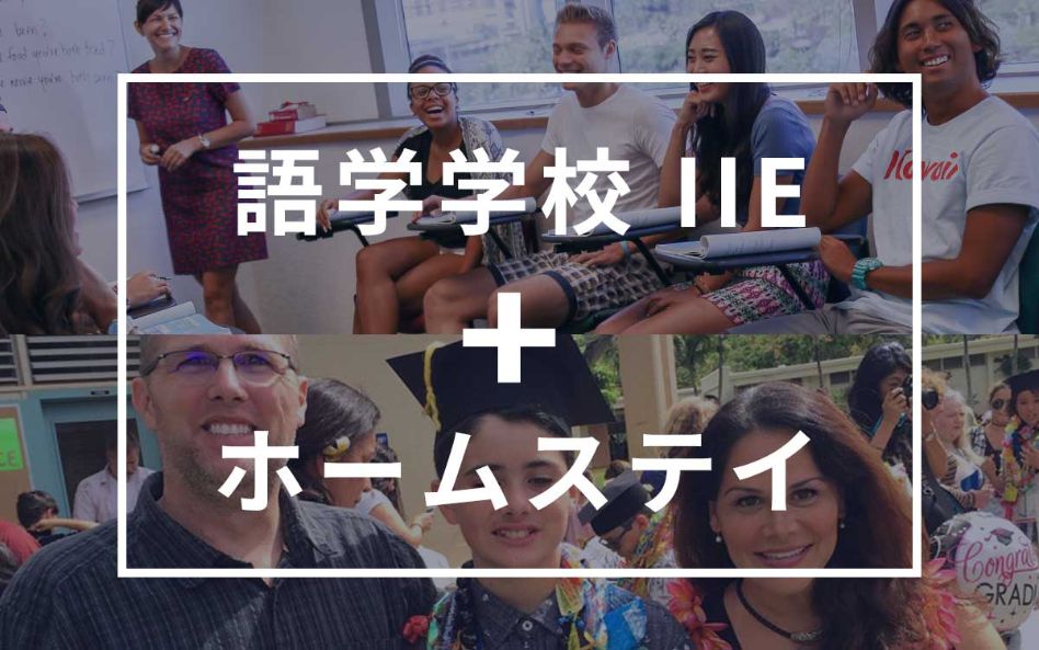 ホームステイプラン