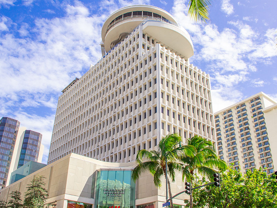 Hawaii Palms English School
