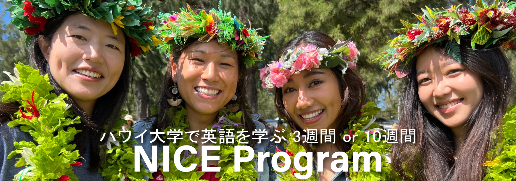 UH NICE Program
